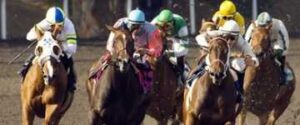 2013 belmont stakes odds freedom child horse racing