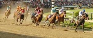 2013 belmont stakes odds horse racing triple crown giant finish