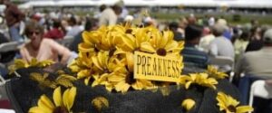2014 Preakness Stakes betting preview odds horse racing Triple Crown