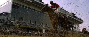 2014 Belmont Stakes horse racing betting odds Tonalist