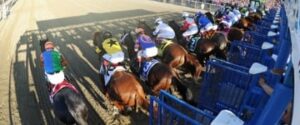 2015 belmont stakes american pharoah odds frosted horse racing triple crown