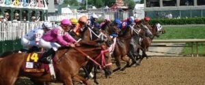 2015 kentucky derby horse racing american pharoah odds