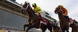 2015 preakness stakes firing line betting odds