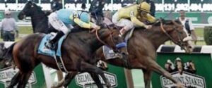 2015 belmont stakes odds mubtaahij horse racing