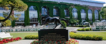 2019 Belmont Stakes, 6/8/19 Predictions & Betting Odds