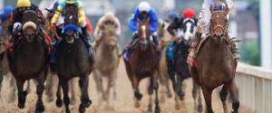 What makes betting on horse racing different from all other sports betting?